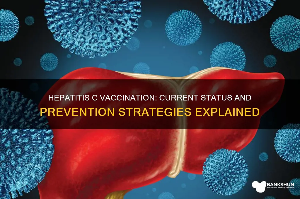 is there a vaccination for hepatitus c