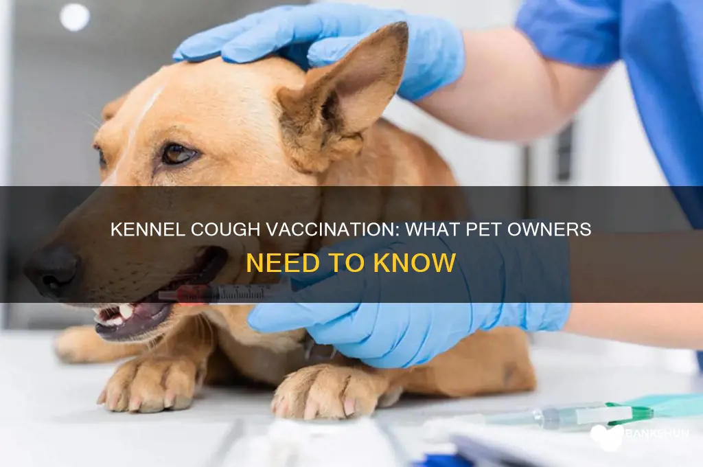 is there a vaccination for kennel cough