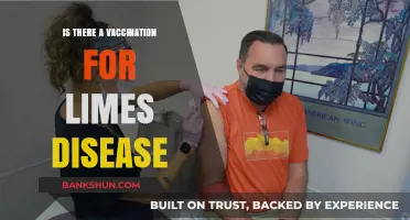 Lyme Disease Vaccination: Current Options and Future Developments Explained
