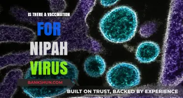 Nipah Virus Vaccination: Current Status and Future Prospects Explored