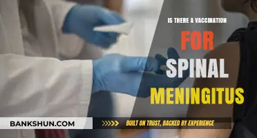 Vaccination for Spinal Meningitis: Availability, Effectiveness, and Prevention