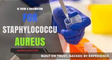 Staphylococcus Aureus Vaccination: Current Status and Future Prospects