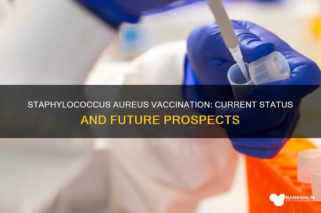 is there a vaccination for staphylococcus aureus