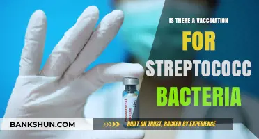 Streptococcus Vaccination: What You Need to Know About Prevention
