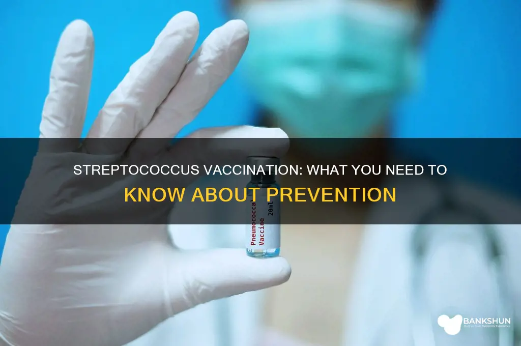 is there a vaccination for streptococcus bacteria