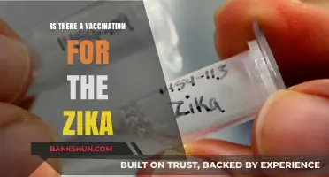Zika Virus Vaccination: Current Status and Future Prospects Explained