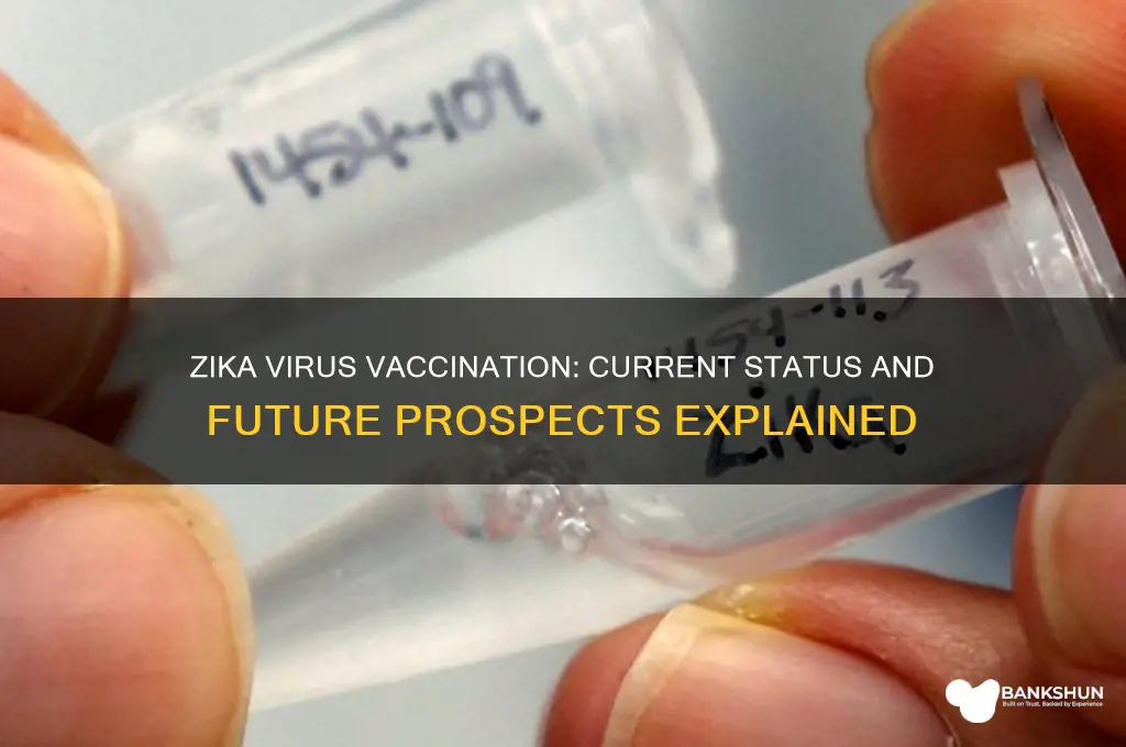 is there a vaccination for the zika
