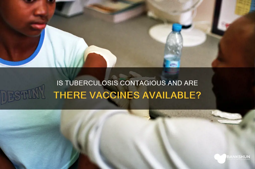 is there a vaccination for tuberculosis contagious