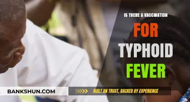 Typhoid Fever Vaccination: Availability, Effectiveness, and Prevention Tips
