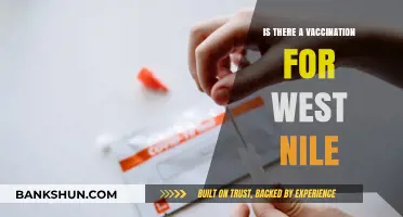 Is There a West Nile Virus Vaccine? What You Need to Know