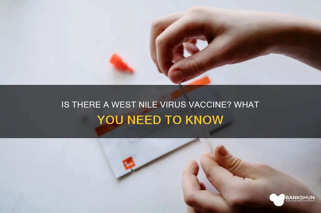 is there a vaccination for west nile