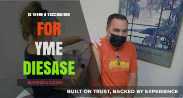 Exploring Lyme Disease Vaccination: Current Options and Future Possibilities