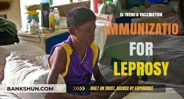 Leprosy Vaccination: Current Immunization Options and Future Prospects Explored