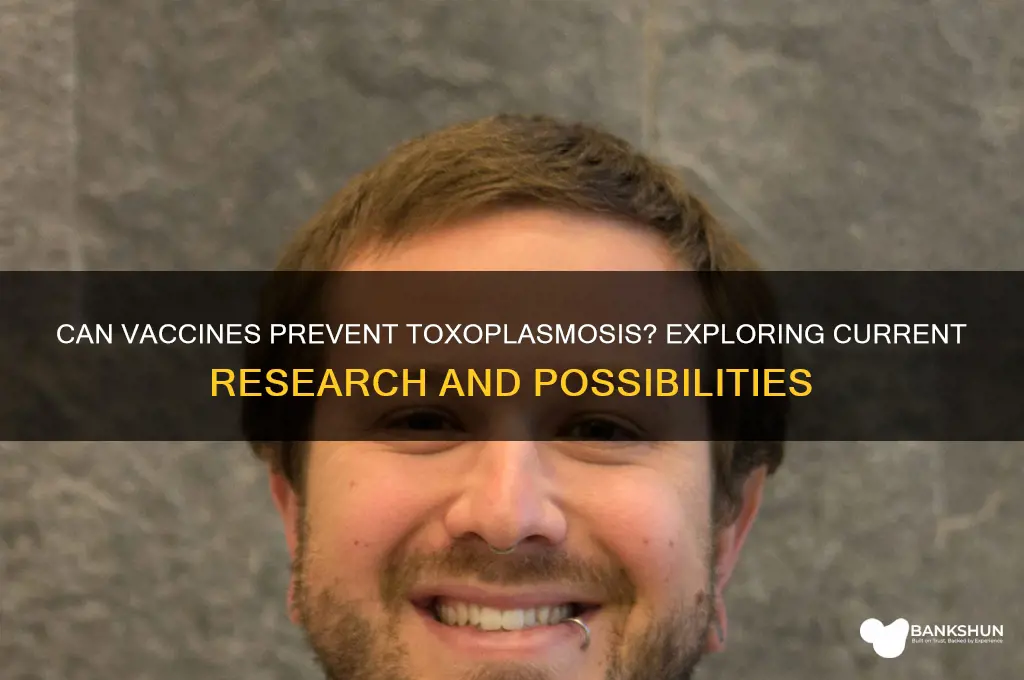 is there a vaccination to prevent toxoplasmosis