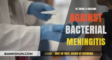 Vaccine for Bacterial Meningitis: Availability, Efficacy, and Prevention Strategies