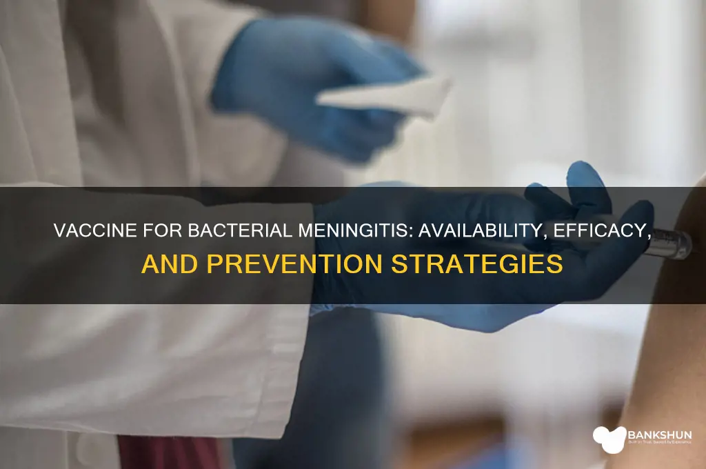 is there a vaccine against bacterial meningitis