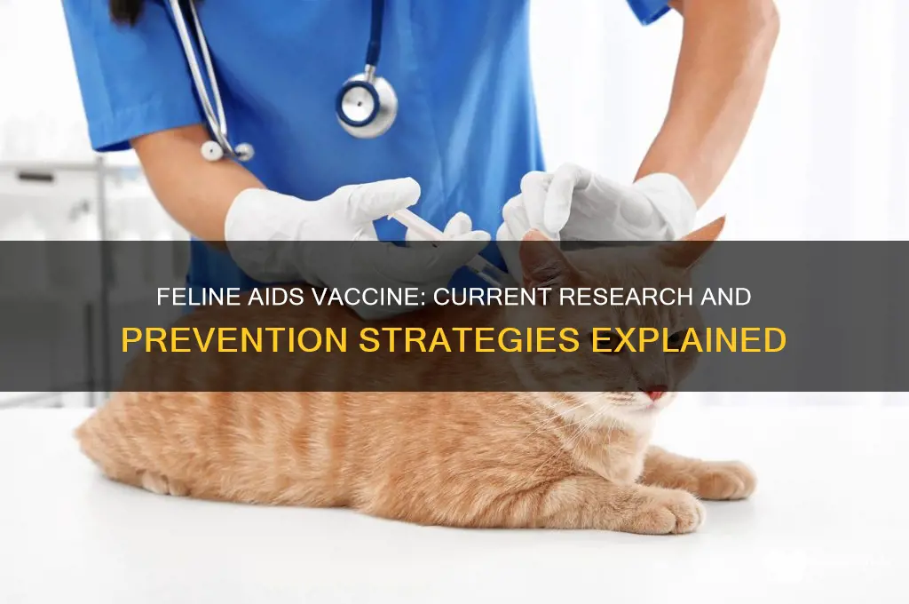 is there a vaccine against feline aids