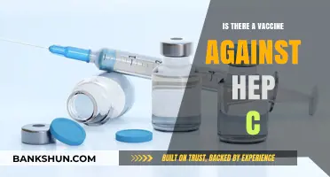 Hepatitis C Vaccine: Current Status and Future Prospects Explained