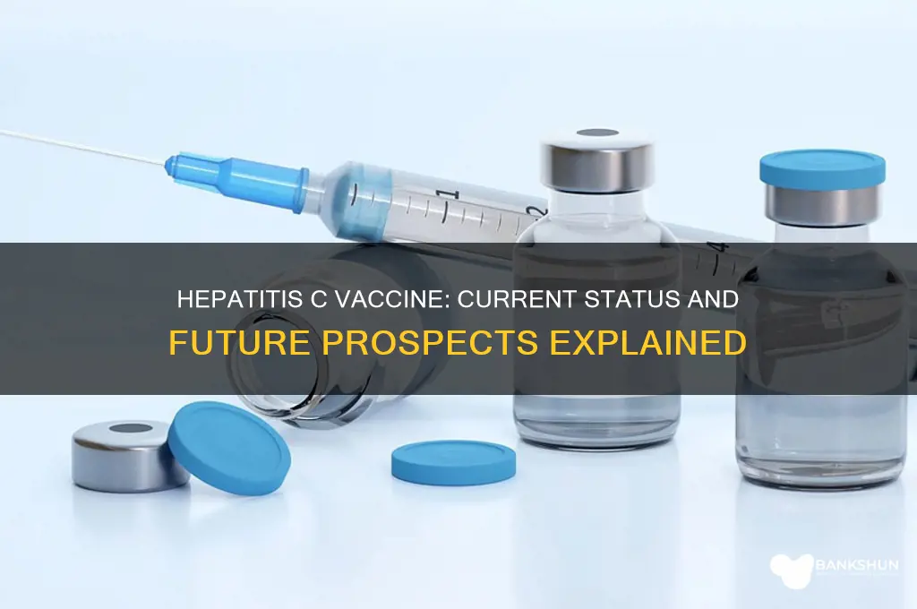 is there a vaccine against hep c