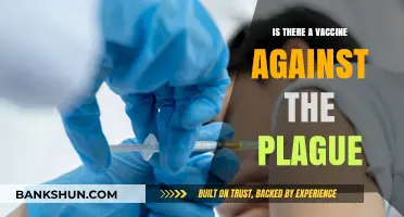 Is There a Vaccine Against the Plague? Exploring Prevention Options