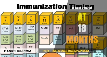 Vaccine Schedule at 18 Months: What Parents Need to Know