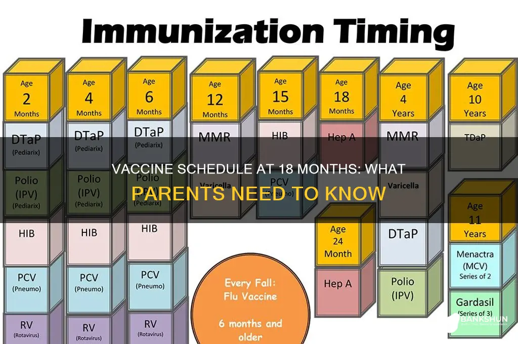 is there a vaccine at 18 months