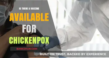 Chickenpox Vaccine: Availability, Effectiveness, and What You Need to Know