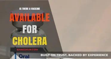 Cholera Vaccine Availability: What You Need to Know Today