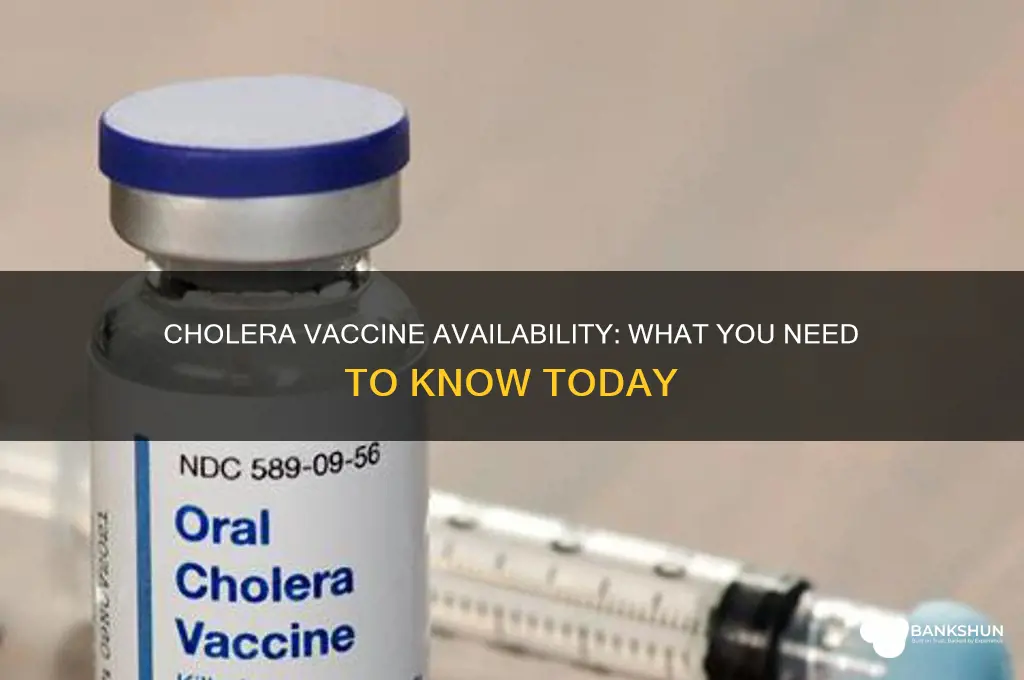 is there a vaccine available for cholera