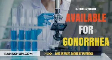Gonorrhea Vaccine: Current Status and Future Prospects Explained