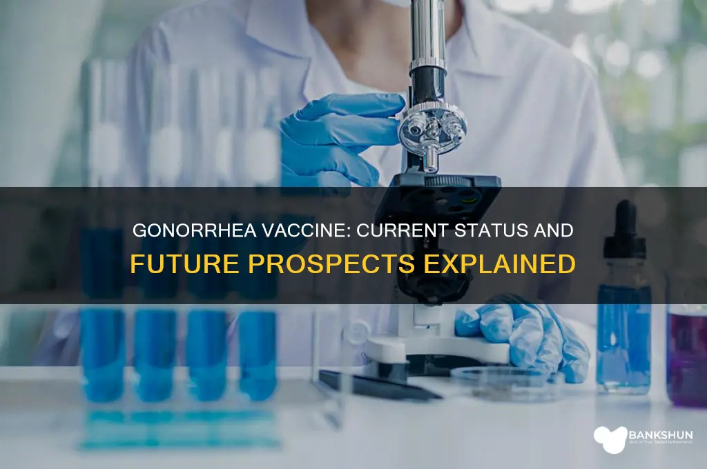 is there a vaccine available for gonorrhea