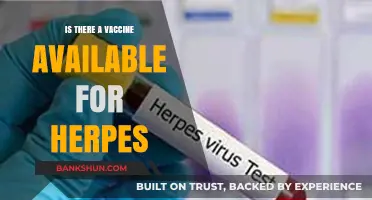 Herpes Vaccine: Current Research and Availability Explained Simply