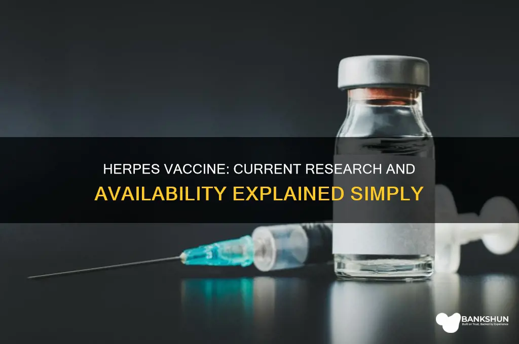 is there a vaccine available for herpes