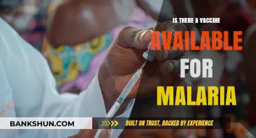 Malaria Vaccine: Current Availability, Efficacy, and Global Impact Explained