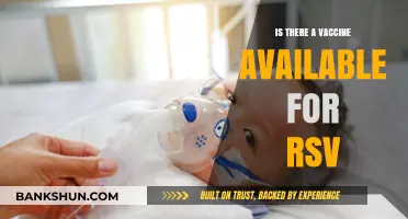 RSV Vaccine Availability: What You Need to Know Now