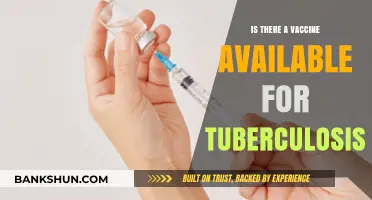 Tuberculosis Vaccine: Current Availability and Global Health Implications