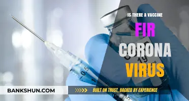 Is There a COVID-19 Vaccine? Latest Updates and Facts