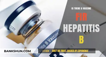 Hepatitis B Vaccine: Availability, Effectiveness, and Prevention Explained