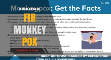 Is There a Monkeypox Vaccine? Facts and Latest Updates