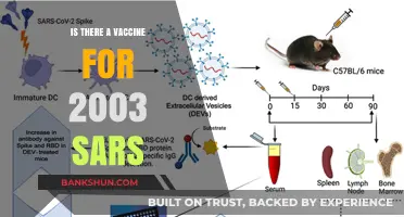 SARS Vaccine: Did We Develop One After the 2003 Outbreak?
