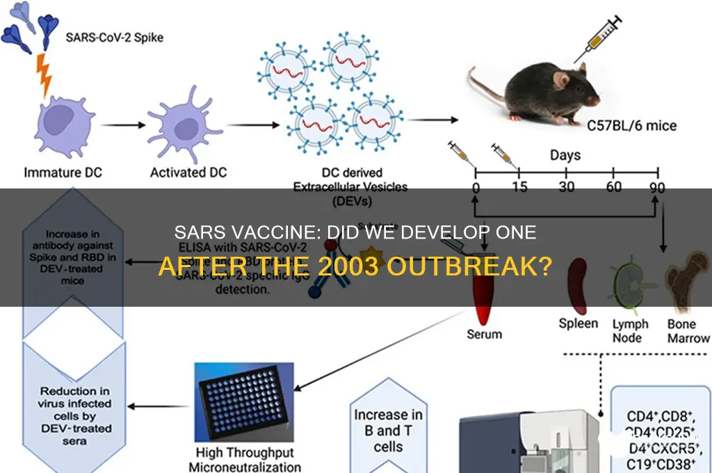 is there a vaccine for 2003 sars