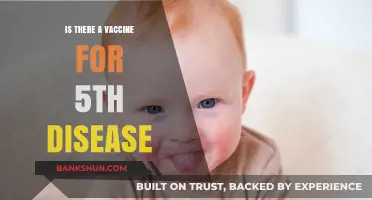 Understanding Fifth Disease: Vaccine Availability and Prevention Strategies Explained