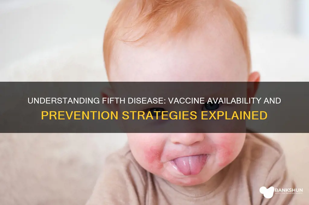 is there a vaccine for 5th disease