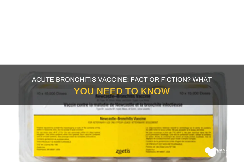 is there a vaccine for acute bronchitis