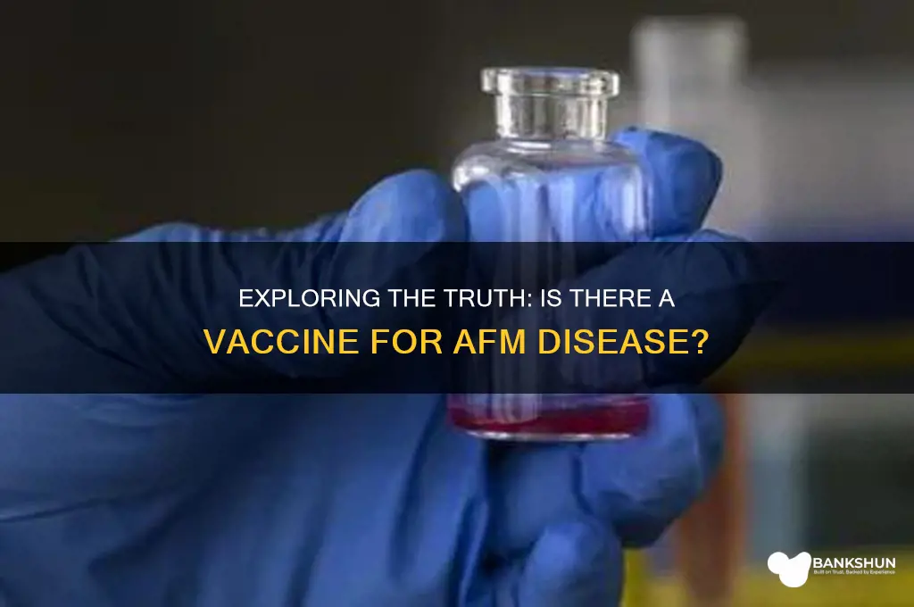 is there a vaccine for afm disease