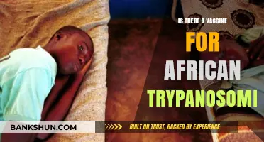 African Trypanosomiasis Vaccine: Current Research and Future Prospects