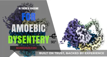 Exploring Vaccine Options for Amoebic Dysentery: Current Research and Facts