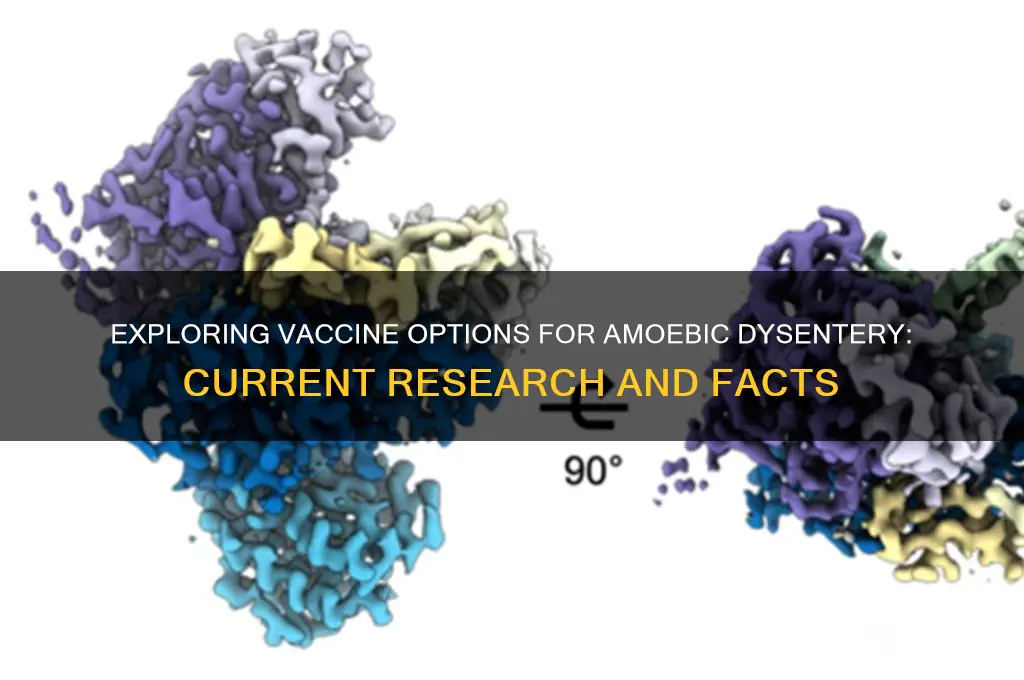 is there a vaccine for amoebic dysentery