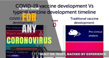 Exploring Coronavirus Vaccines: Current Status and Future Possibilities