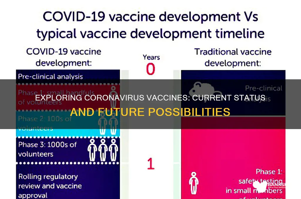 is there a vaccine for any coronovirus